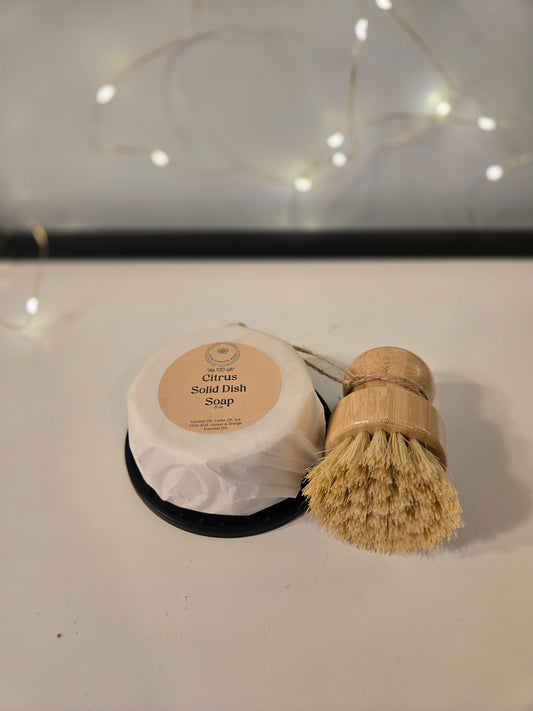 Solid Dish Soap Set